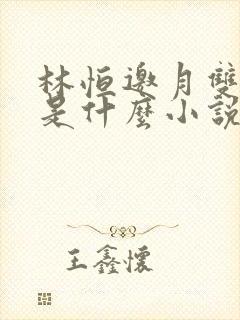 林恒邀月双胞胎是什么小说