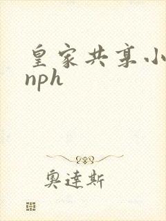 皇家共享小公主nph