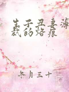 生子丑妻薄情总裁的烙痕