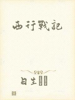西行战记