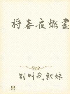 将春夜燃尽