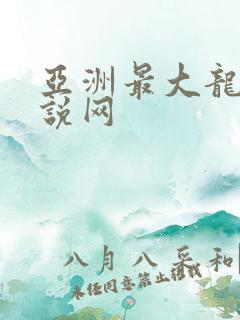 亚洲最大龙腾小说网