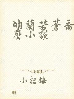 明兰若苍乔是什么小说