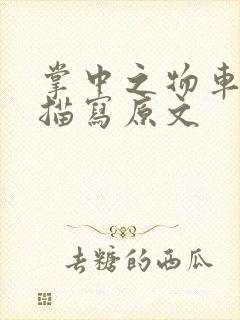 掌中之物车里震描写原文