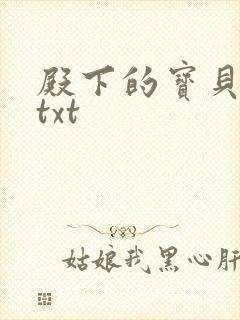 殿下的宝贝公主txt