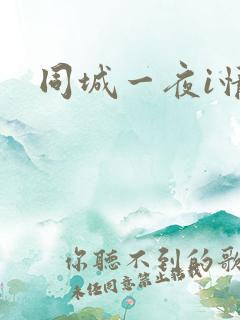 同城一夜i情