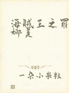 海贼王之罗宾h娜美