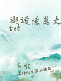 邂逅亿万大人物txt