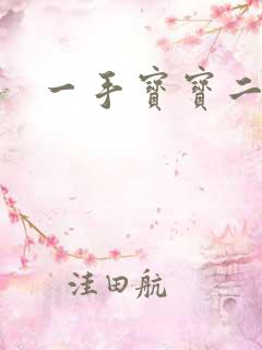 一手宝宝二手妻