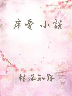 疼爱 小说