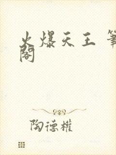 火爆天王 笔趣阁