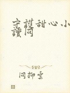 守护甜心小说阅读网