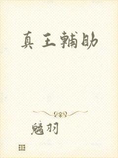 真王辅助