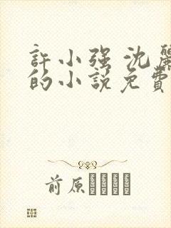 许小强 沈丽娟的小说免费阅读