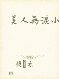 美人无泪小说