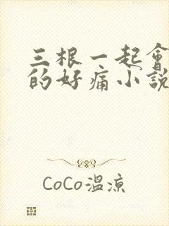 三根一起会坏掉的好痛小说