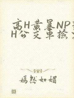 高H黄暴NP辣H公交车检票员