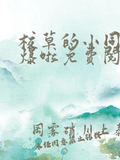 校草的小同桌撩爆啦免费阅读