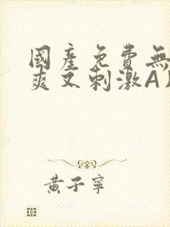 国产免费无码又爽又刺激A片小说