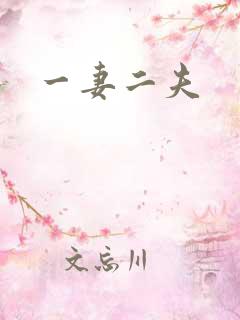 一妻二夫