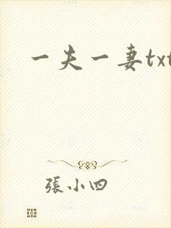 一夫一妻txt