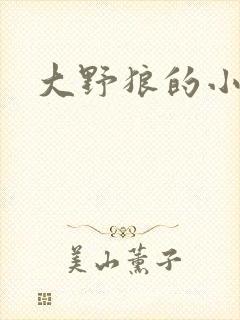 大野狼的小猫咪