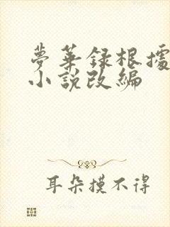 梦华录根据什么小说改编