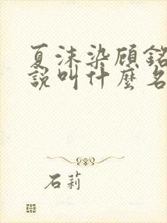 夏沫染顾铭修小说叫什么名字