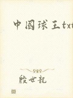中国球王txt