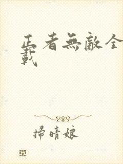 正者无敌全集下载