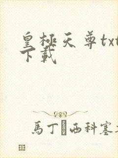 皇极天尊txt下载