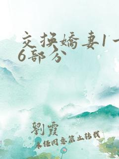 交换娇妻1一36部分