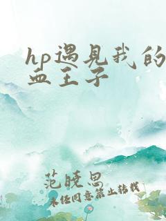 hp遇见我的混血王子