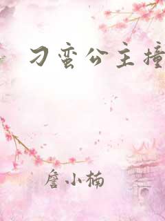 刁蛮公主撞冷王