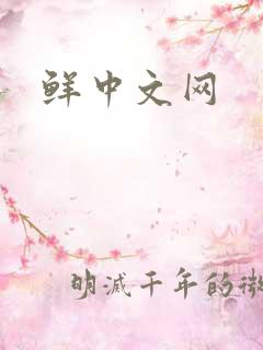 鲜中文网