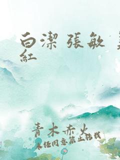 白洁 张敏 美红