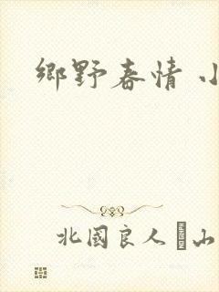 乡野春情 小说