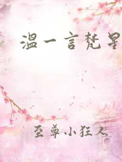 温一言梵星小说