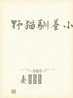 野猫驯养小说