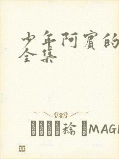 少年阿宾的故事全集