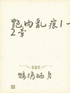 艳肉乱痕1一12章