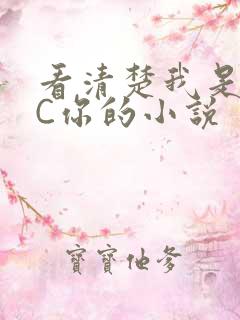 看清楚我是怎么C你的小说