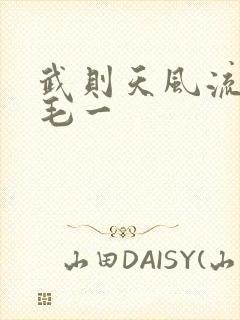 武则天风流艳情毛一