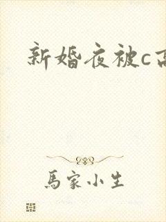 新婚夜被c高h