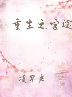 重生之官途风流