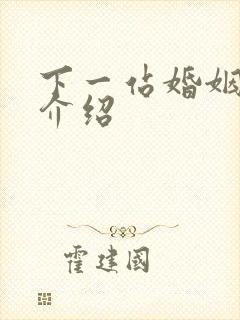 下一站婚姻剧情介绍