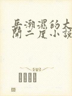 岳潮湿的大肥梅开二度小说