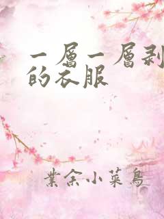 一层一层剥开你的衣服