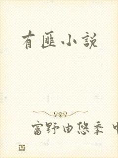 有匪小说