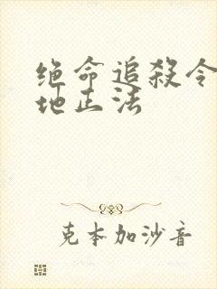 绝命追杀令2就地正法